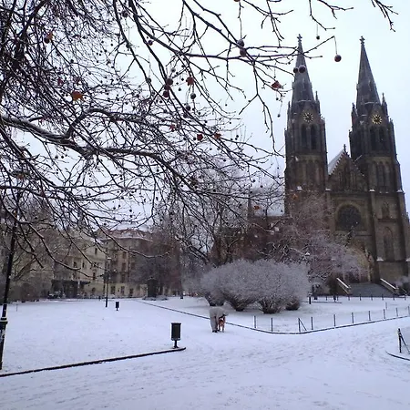 Schola Noutonice