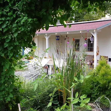 Guest house Schola *