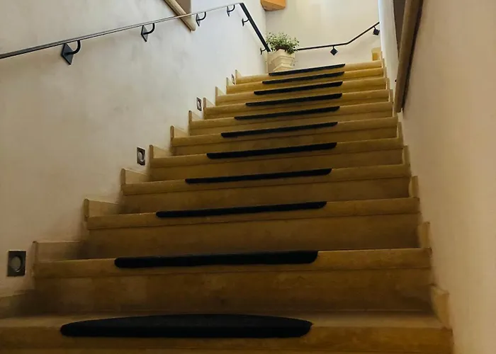 بيت ضيافة Schola